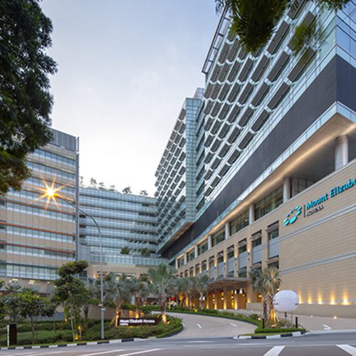 Mount Elizabeth Hospital Mount Elizabeth Hospital